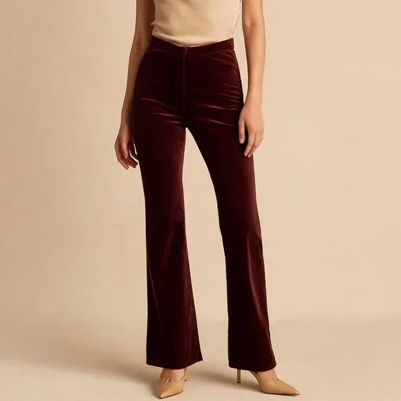 AGOLDE Women’s Brown Chocolate Velvet High Rise Bootcut Stretch Pants 30 NWT